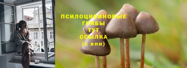 мяу мяу мука Корсаков