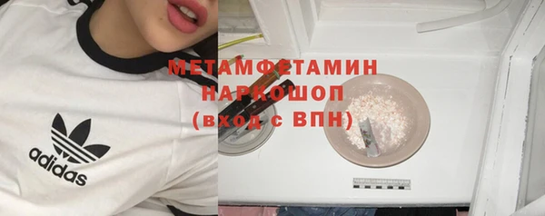 прущие грибы Костерёво