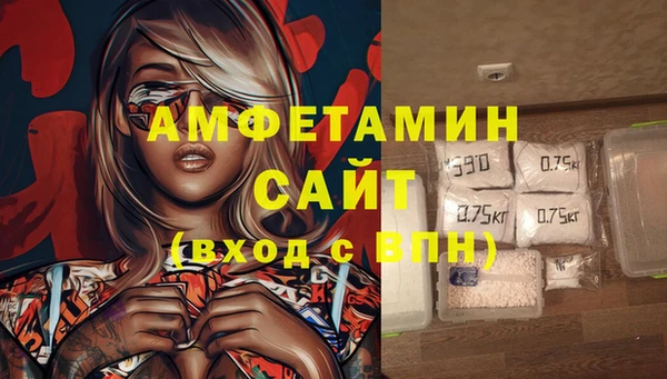 прущие грибы Костерёво