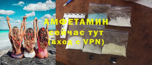 прущие грибы Костерёво
