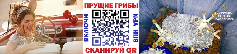 Псилоцибиновые грибы Magic Shrooms  цены наркотик  Михайловка 